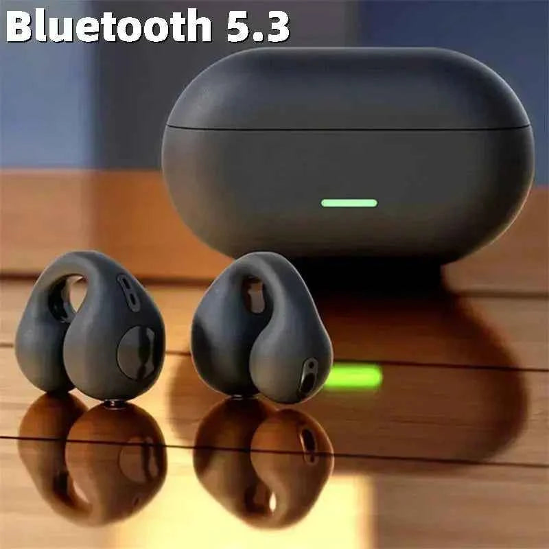 AquaVibe T75 WaveSound Bone Wireless Earphones